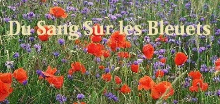 livre-sang-dans-bleuets